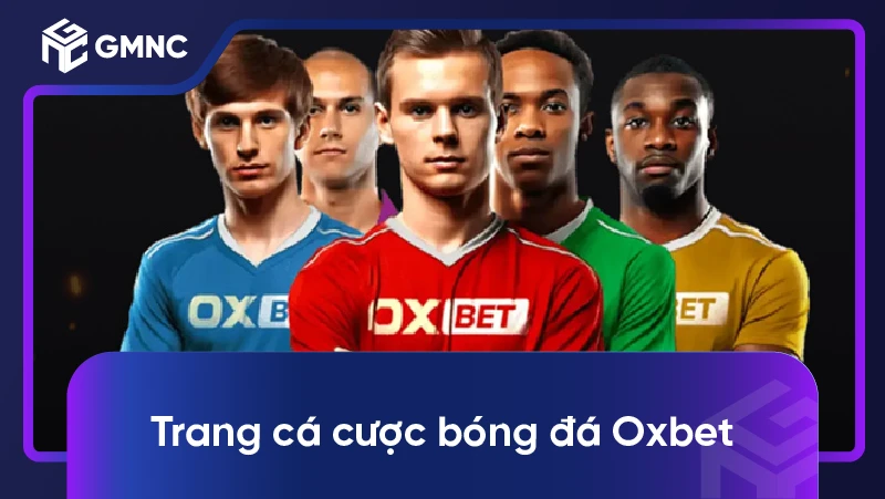 Trang cá cược bóng đá Oxbet